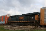 CSX 3175